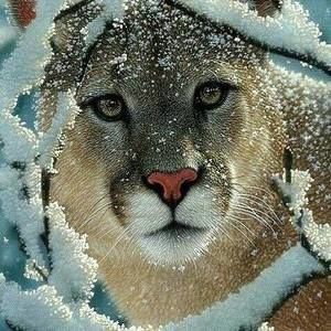 Meet your Posher, Ramona